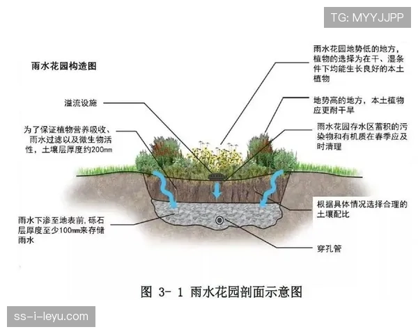 联赛场馆节能减排的运营优化方案，联赛场馆节能减排的运营优化方案是什么